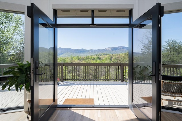 doorway featuring a mountain view and wood-type flooring