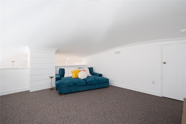 living area with dark colored carpet