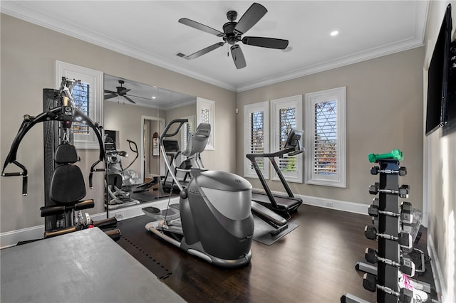 gym with ceiling fan, dark hardwood / wood-style flooring, and ornamental molding