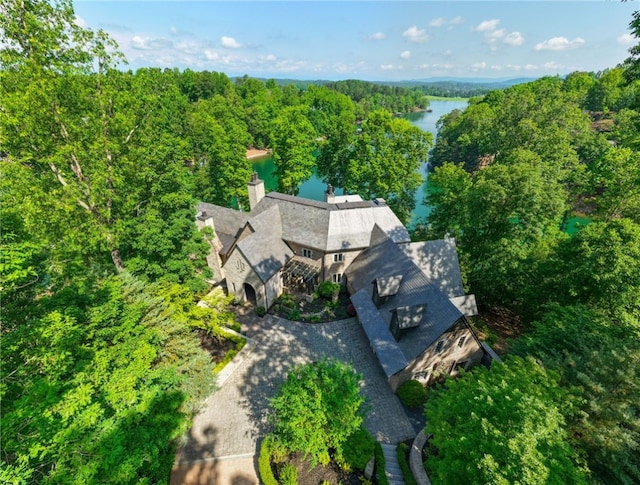 133 Leaping Brook Way, Six Mile, SC 29682 - aerial view of property and surrounding area featuring a large body of water and a heavily wooded area