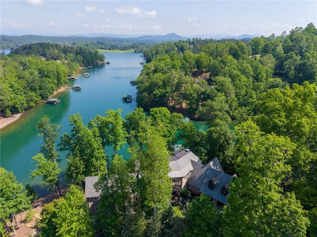 133 Leaping Brook Way, Six Mile, SC 29682 - drone / aerial view of a water and mountain view and a heavily wooded area