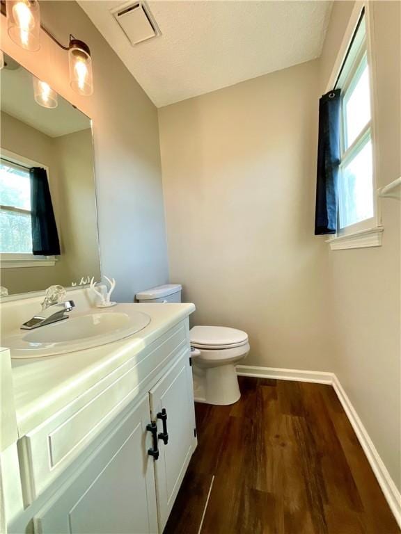 bathroom featuring vanity, wood-type flooring, and toilet