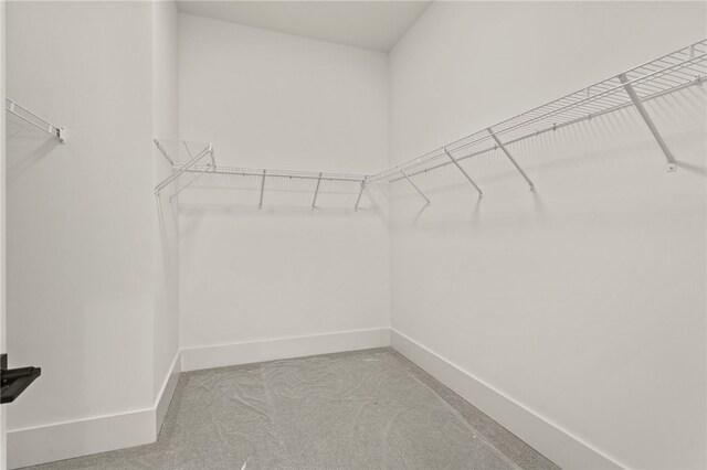 walk in closet with carpet