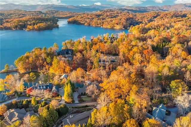 aerial view featuring a water and mountain view