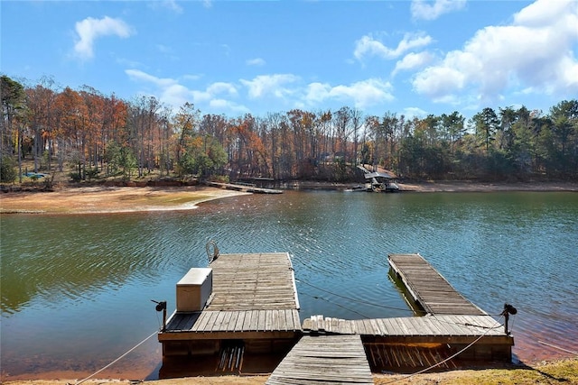 dock area featuring a water view