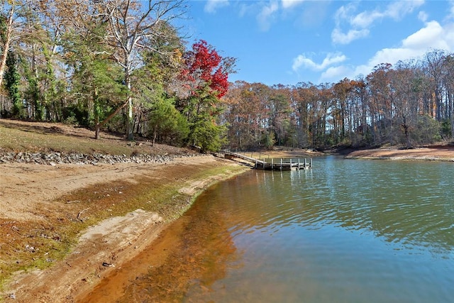 water view featuring a boat dock