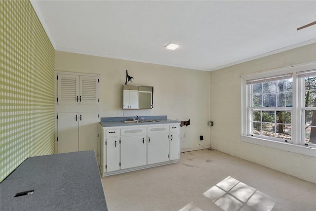 washroom featuring crown molding and sink