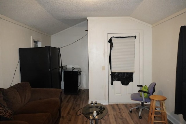 1401 Lebanon Rd, Pendleton, SC 29670 - living room with lofted ceiling, wood finished floors, and a textured ceiling