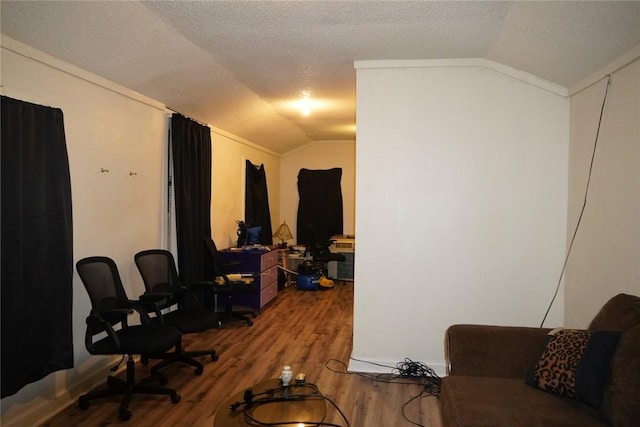 1401 Lebanon Rd, Pendleton, SC 29670 - office area with lofted ceiling, wood finished floors, and a textured ceiling