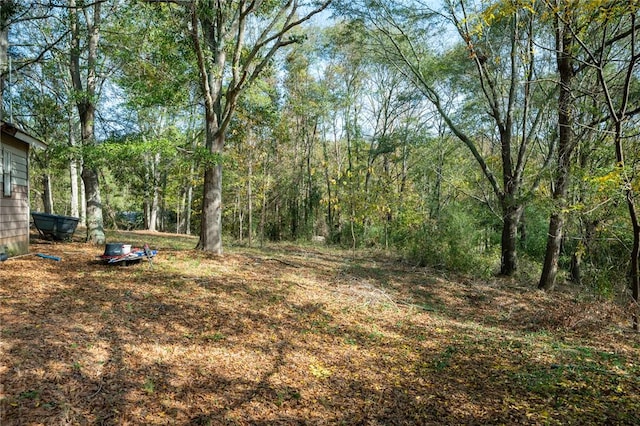 1401 Lebanon Rd, Pendleton, SC 29670 - view of yard featuring a wooded view