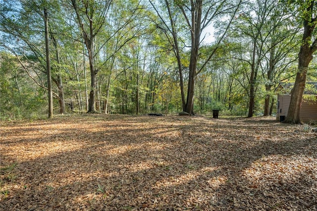 1401 Lebanon Rd, Pendleton, SC 29670 - view of yard featuring a wooded view