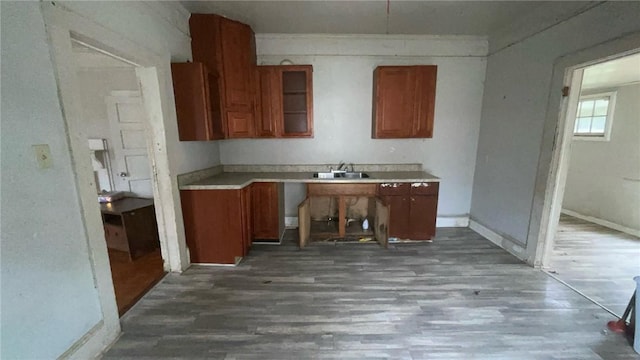 kitchen featuring dark hardwood / wood-style floors and sink