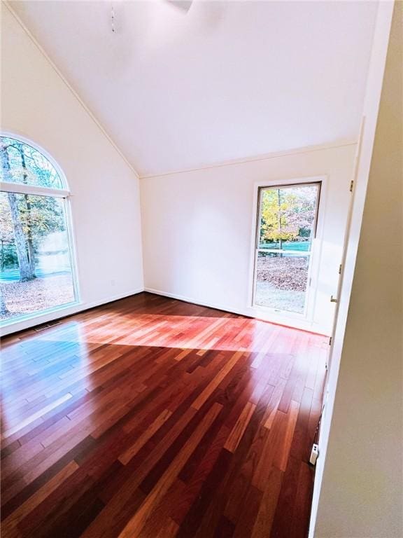 interior space featuring hardwood / wood-style floors, a healthy amount of sunlight, and lofted ceiling