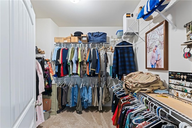 spacious closet featuring carpet