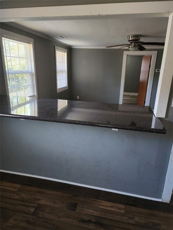 kitchen featuring dark hardwood / wood-style floors, ceiling fan, and ornamental molding