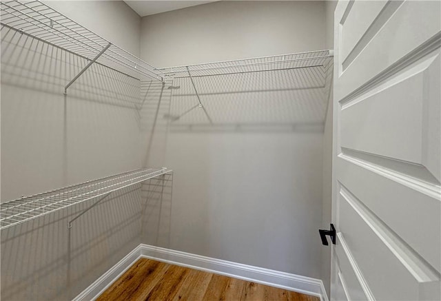 walk in closet featuring hardwood / wood-style floors