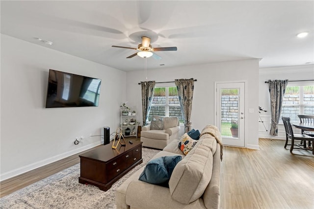 living room with ceiling fan, light hardwood / wood-style flooring, and ornamental molding