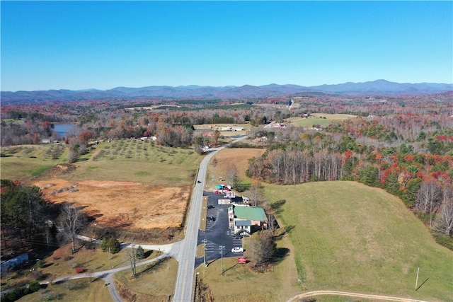 bird's eye view with a mountain view