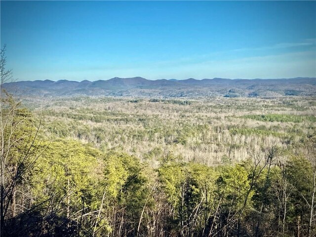 272 Jocassee Ridge Way, Salem, SC 29676 - photo 38