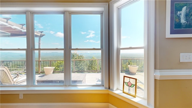 entryway with a wealth of natural light