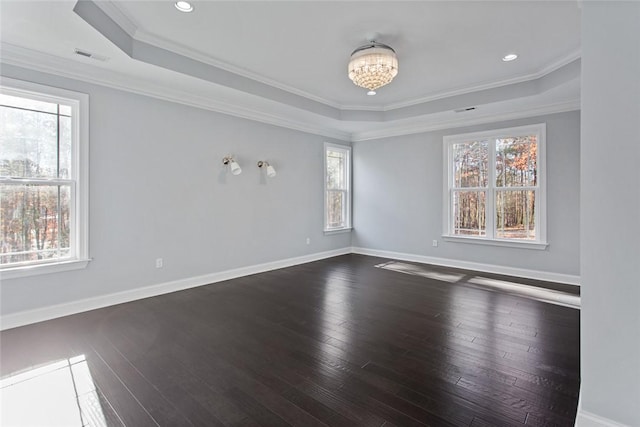 empty room featuring a healthy amount of sunlight and ornamental molding