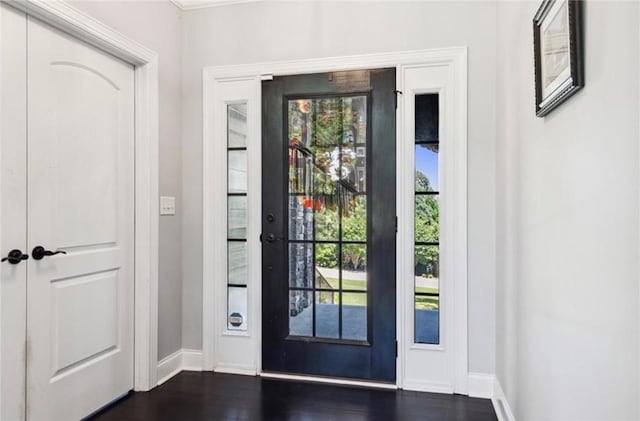 foyer entrance with a wealth of natural light and dark hardwood / wood-style flooring