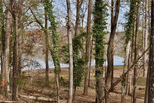 Listing photo 3 for 1289 Ridgemore Dr, Toccoa GA 30577