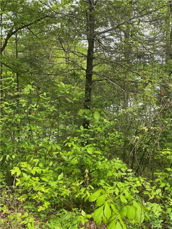 Listing photo 3 for LOT36 Crystal Lake Rd, Mountain Rest SC 29664