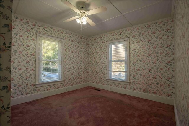 carpeted spare room with a wealth of natural light, ceiling fan, and ornamental molding