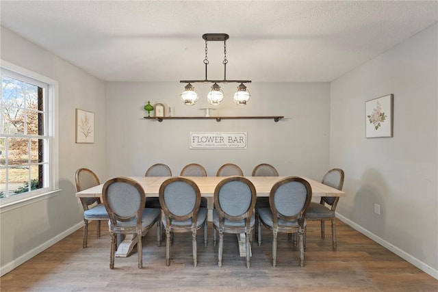 dining area featuring hardwood / wood-style flooring