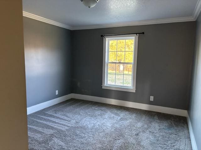 unfurnished room with carpet and crown molding