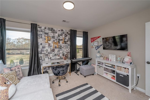 carpeted office space with plenty of natural light