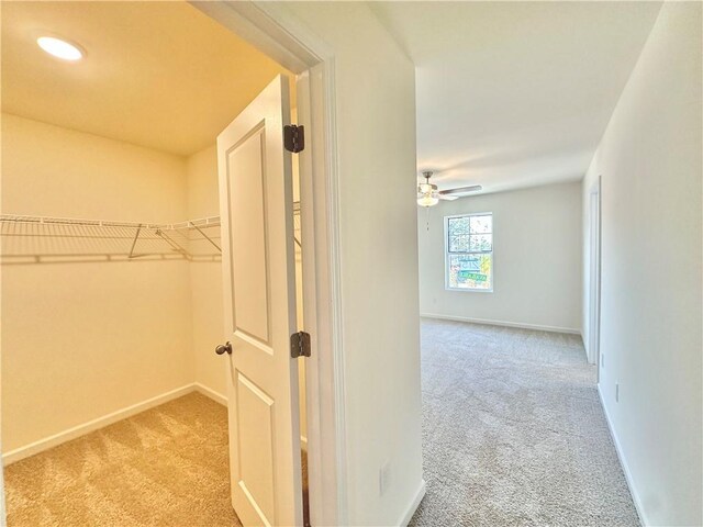 walk in closet featuring ceiling fan and light colored carpet