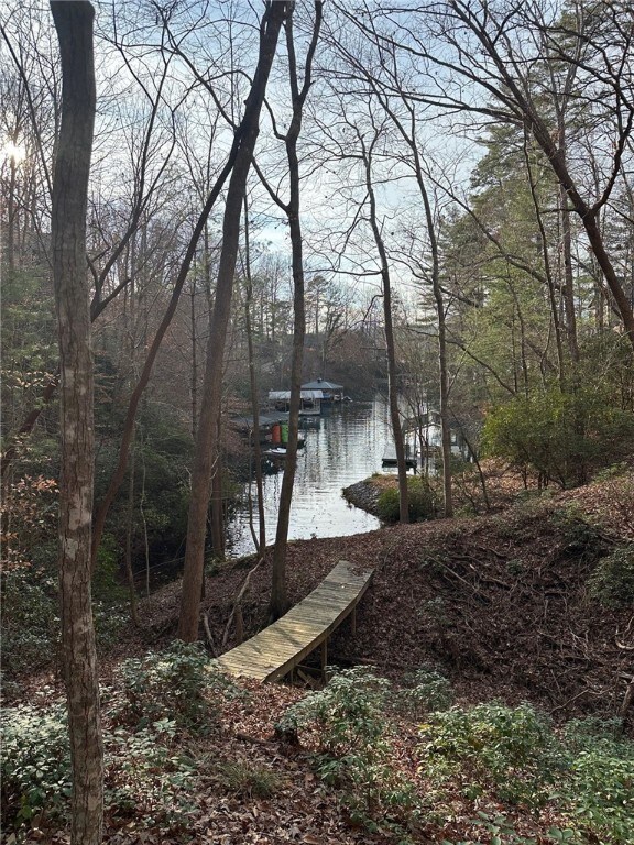 200 Wind Flower Dr, Sunset, SC 29685 - photo 6