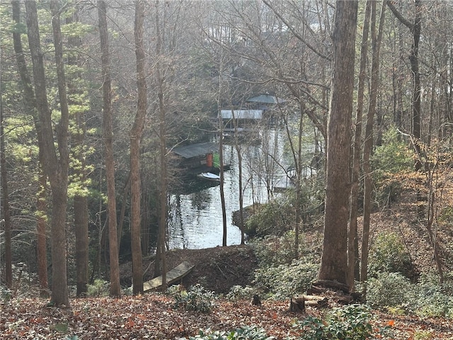 200 Wind Flower Dr, Sunset, SC 29685 - photo 1