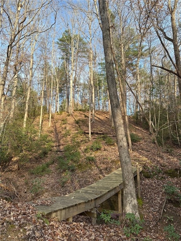 200 Wind Flower Dr, Sunset, SC 29685 - photo 9