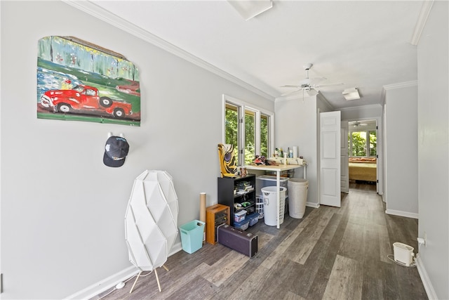 hall featuring hardwood / wood-style flooring and crown molding