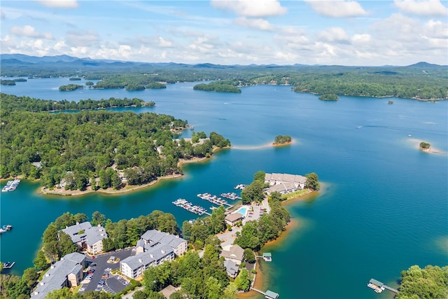 birds eye view of property with a water and mountain view