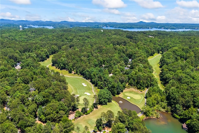 drone / aerial view with a water and mountain view