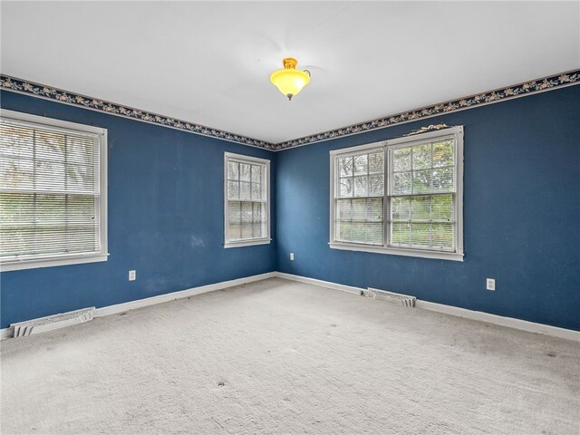 carpeted spare room featuring a wealth of natural light