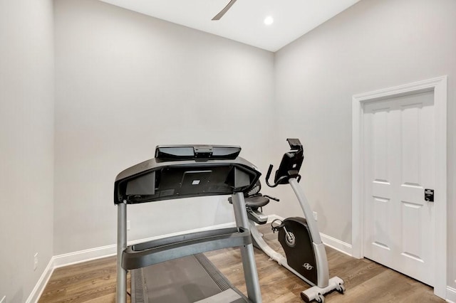 workout room with hardwood / wood-style flooring and ceiling fan