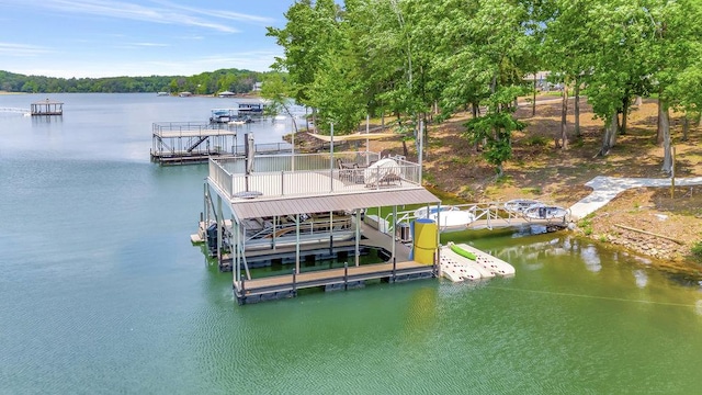 dock area with a water view