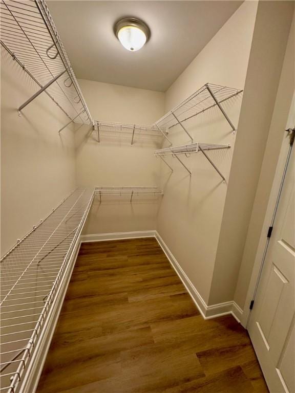 walk in closet featuring dark wood-type flooring