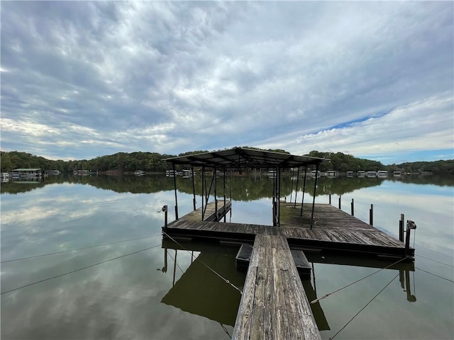 dock area with a water view