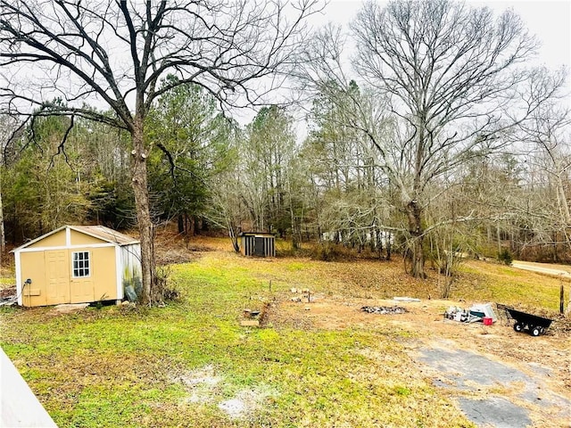 view of yard with a shed