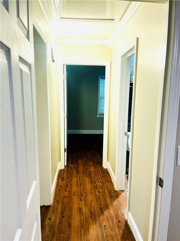 hallway with crown molding and dark hardwood / wood-style flooring