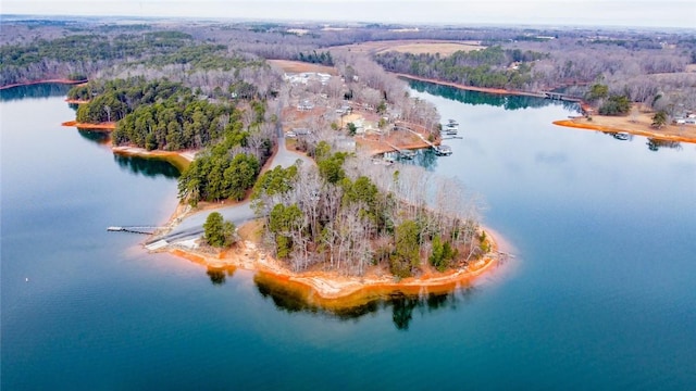 973 Andersonville Rd, Townville, SC 29689 - photo 19