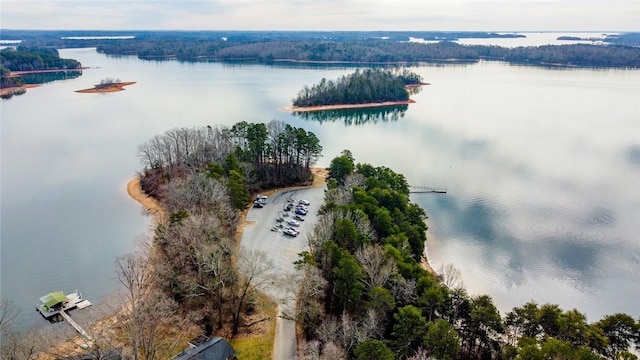 973 Andersonville Rd, Townville, SC 29689 - photo 21