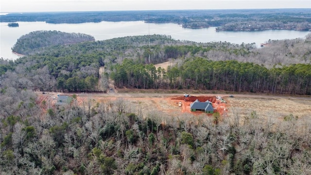 973 Andersonville Rd, Townville, SC 29689 - photo 17