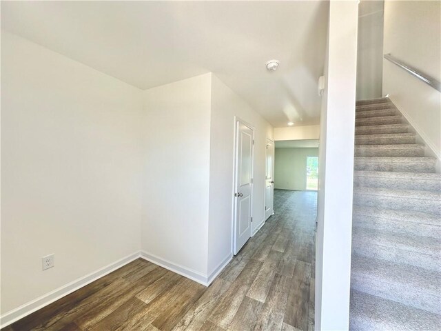 staircase with hardwood / wood-style floors